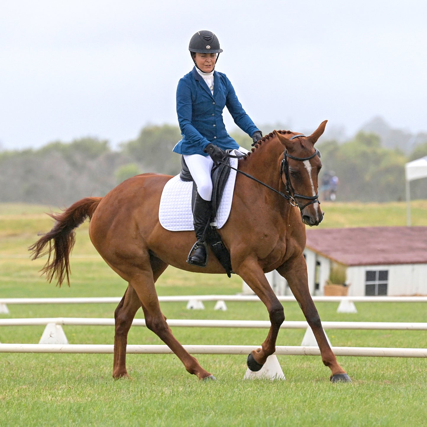 Flatwork Lesson